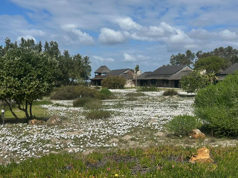 20 Bedroom Property for Sale in Hopefield Western Cape